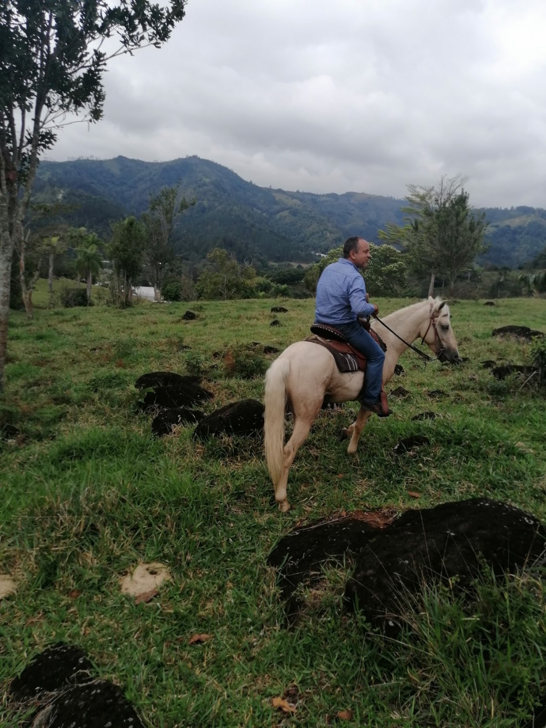  finca de 2600 tareas en Rancho Arriba, San José De Ocoa  