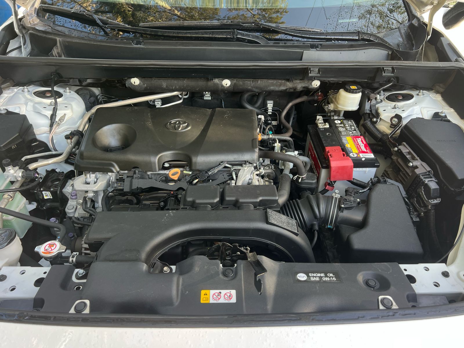 jeepetas y camionetas - Toyota rav4 2019 xle 2