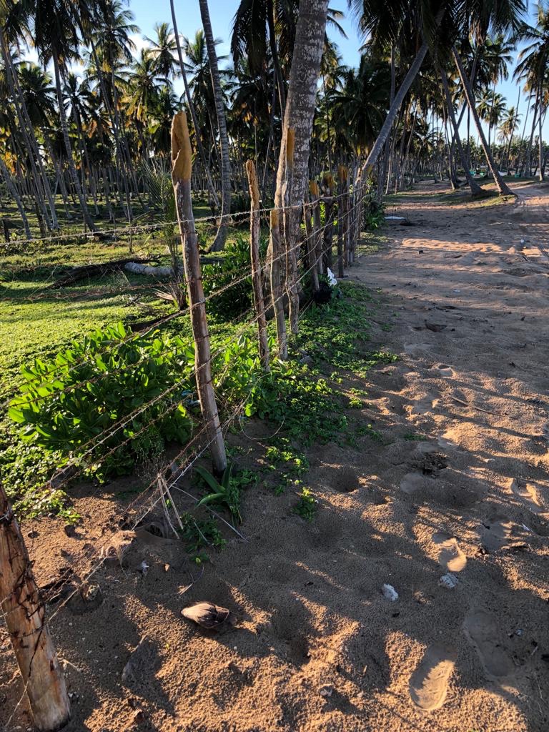 solares y terrenos - Vendo terreno en Miche Plata y l Limón 
3374. Mt2. 
Primera Línea de playa 
 3