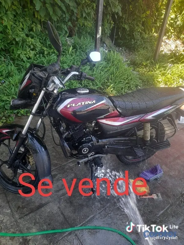 motores y pasolas - Matricula en mano todo aldia  4