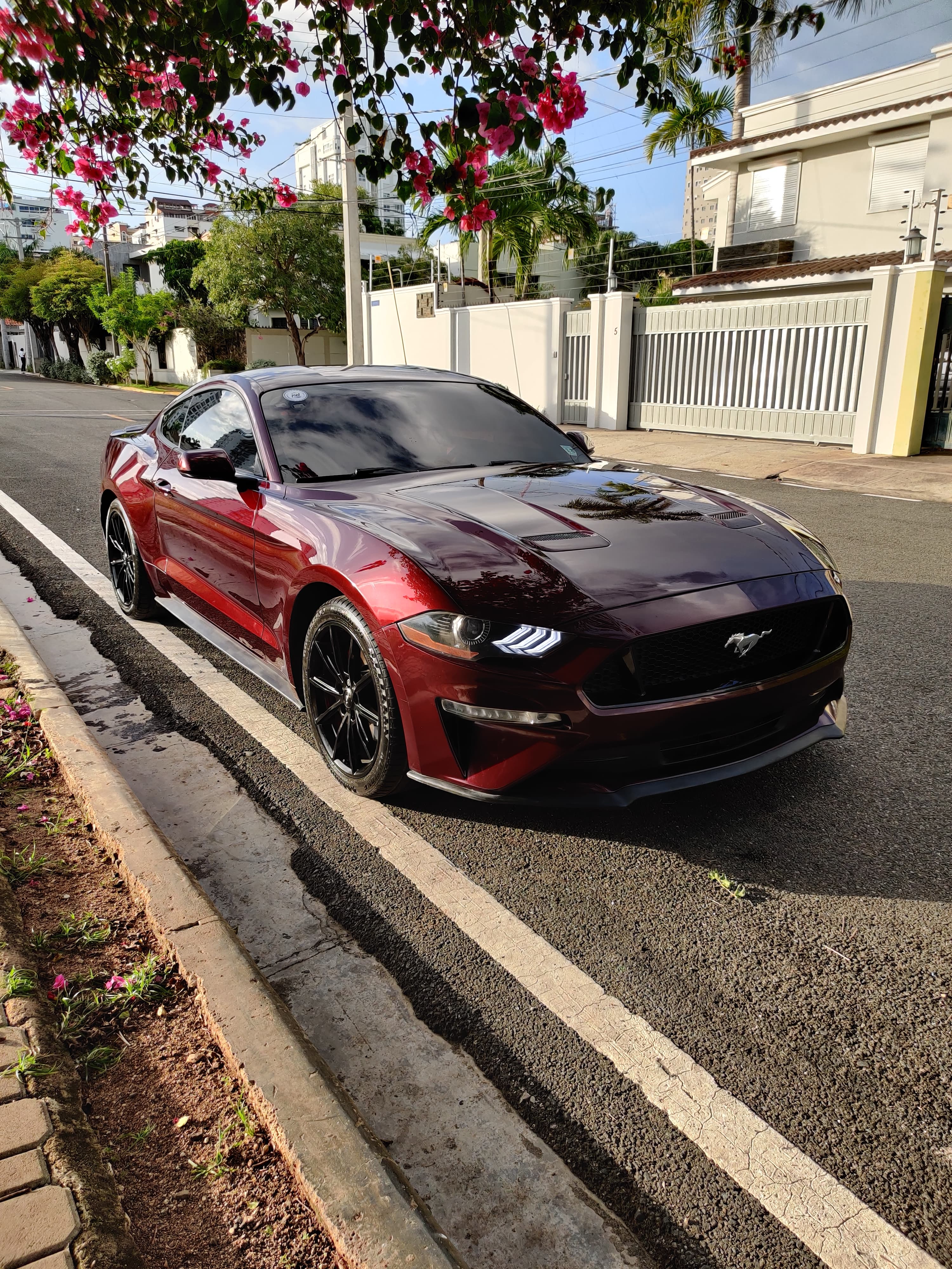 carros - Ford Mustang Ecoboost 2018 3