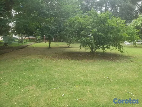 apartamentos - Vendo Apartamento Jardibes del Embajador Bella Vista Beth 10