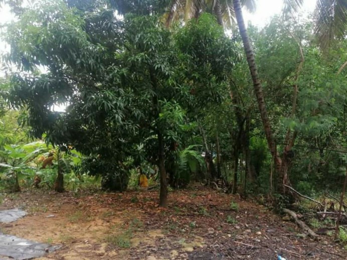 solares y terrenos - Vendo solar en los guaricanos