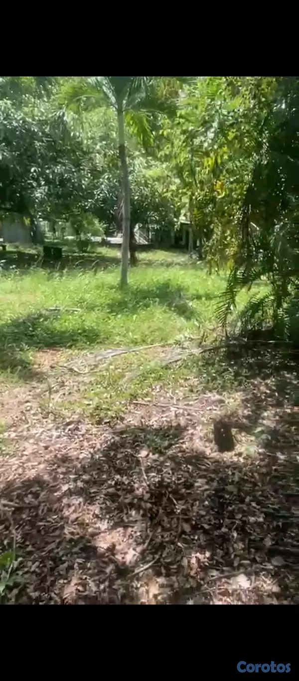 solares y terrenos - Venta de terreno  6
