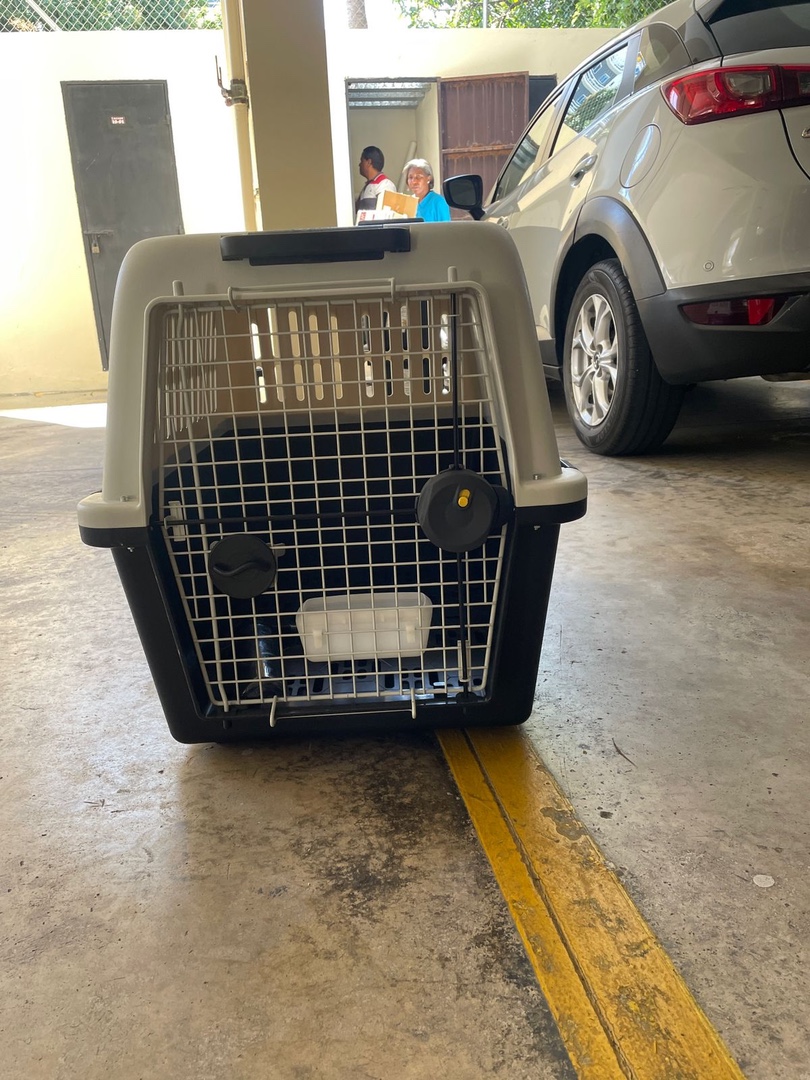 animales y mascotas - jaula para transporte de perro grande , como nueva, solo se utilizo 1
