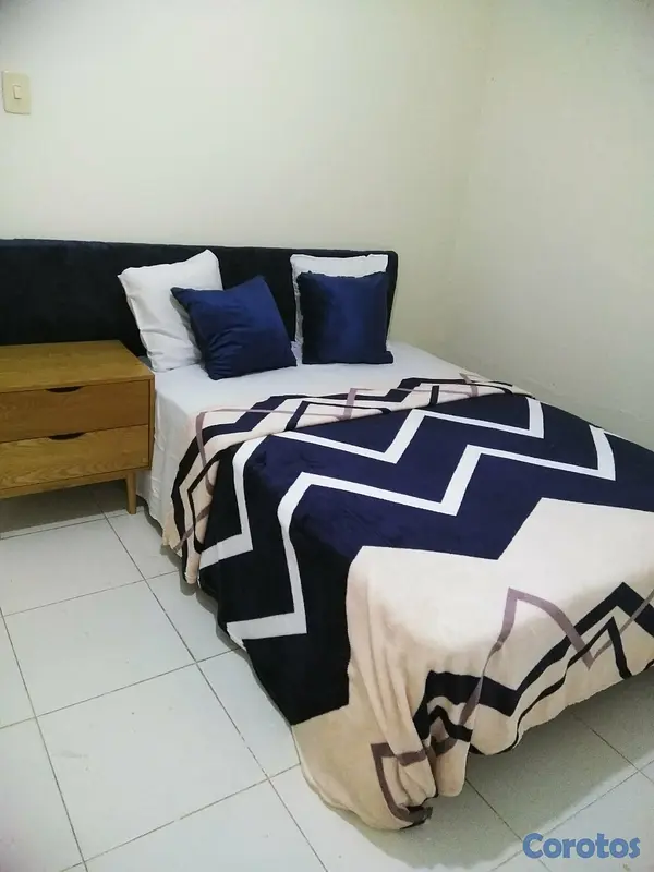 apartamentos - Gazcue alquilo apartamento una habitacion amueblad 4
