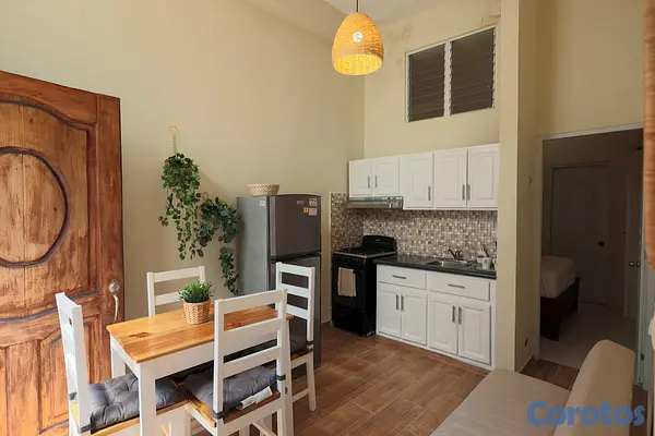 apartamentos - Alquiler apartamento zona colonial  4