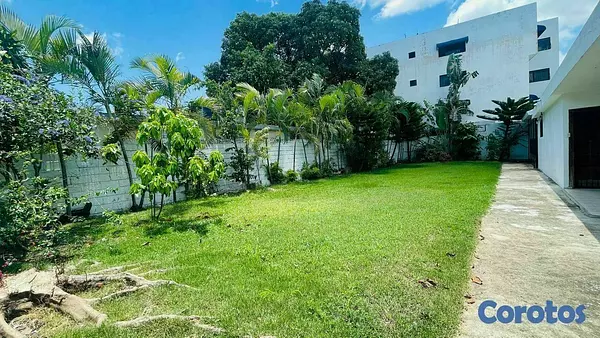 oficinas y locales comerciales - Propiedad comercial en alquiler  7