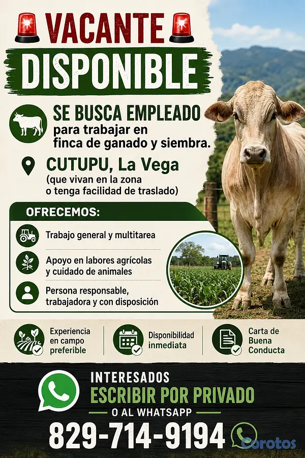 empleos disponibles - Vacante Disponible Cutupu  2