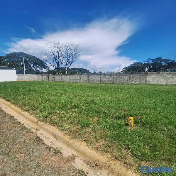 solares y terrenos - Solar en venta en Bonao  5