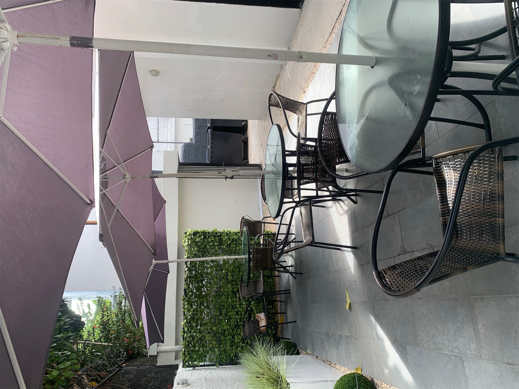 oficinas y locales comerciales - Local en edificio moderno 3