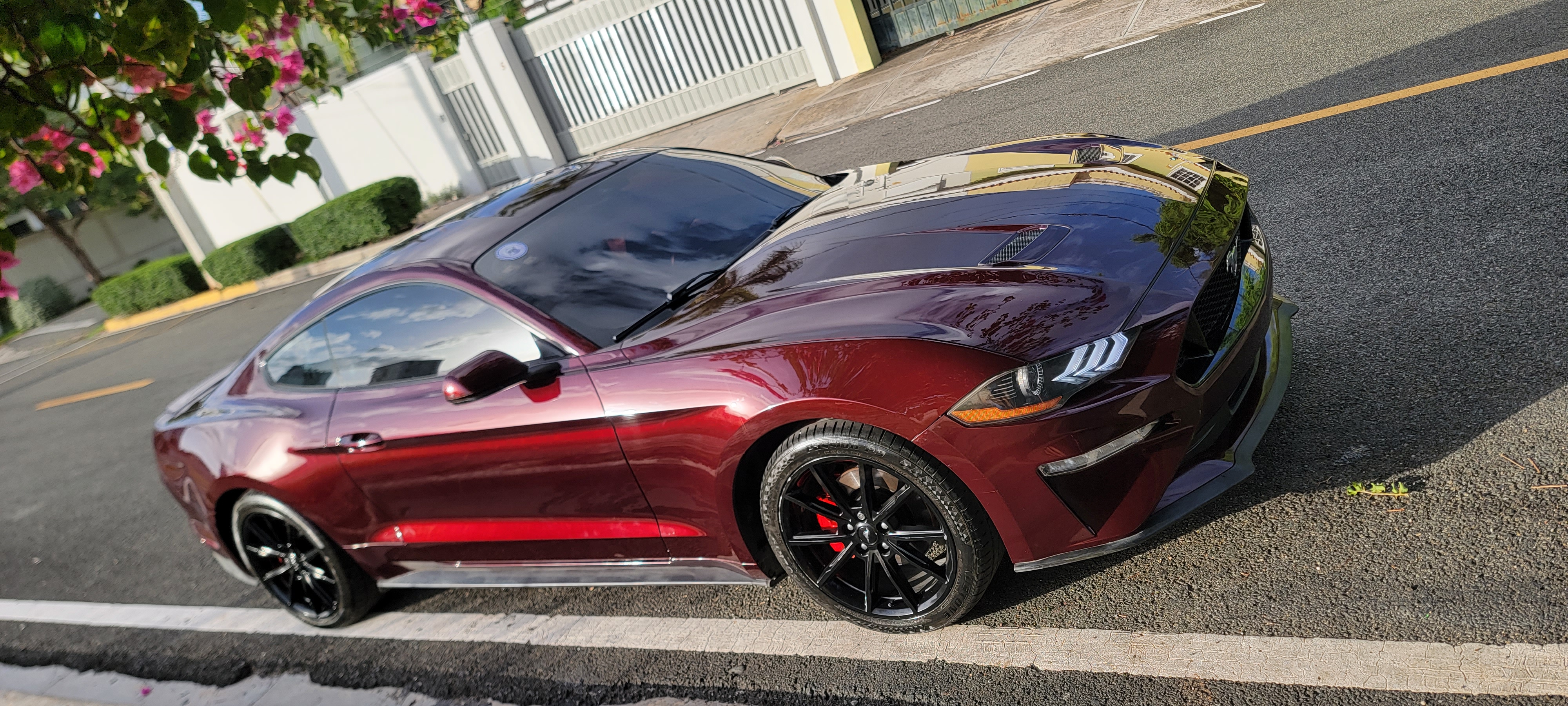 carros - Ford Mustang Ecoboost 2018 7