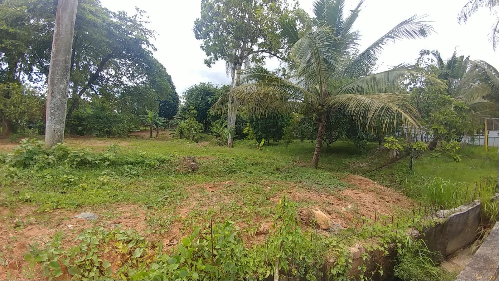 solares y terrenos - VENTA 5 SOLARES PARA USO RESIDENCIAL – PIEDRA BLANCA BONAO 5