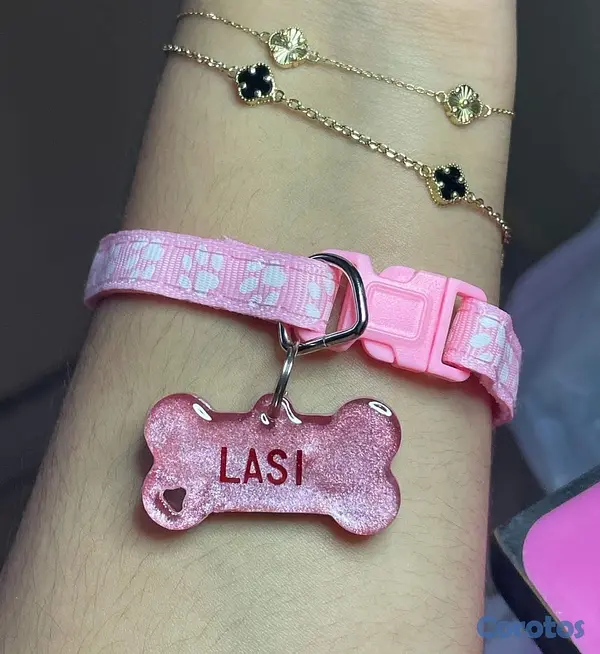 animales y mascotas - Collares y Chapillas personalizadas para mascotas  8