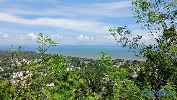 solares y terrenos - Samaná: Montenegro / Sánchez (51,610 m²) 3