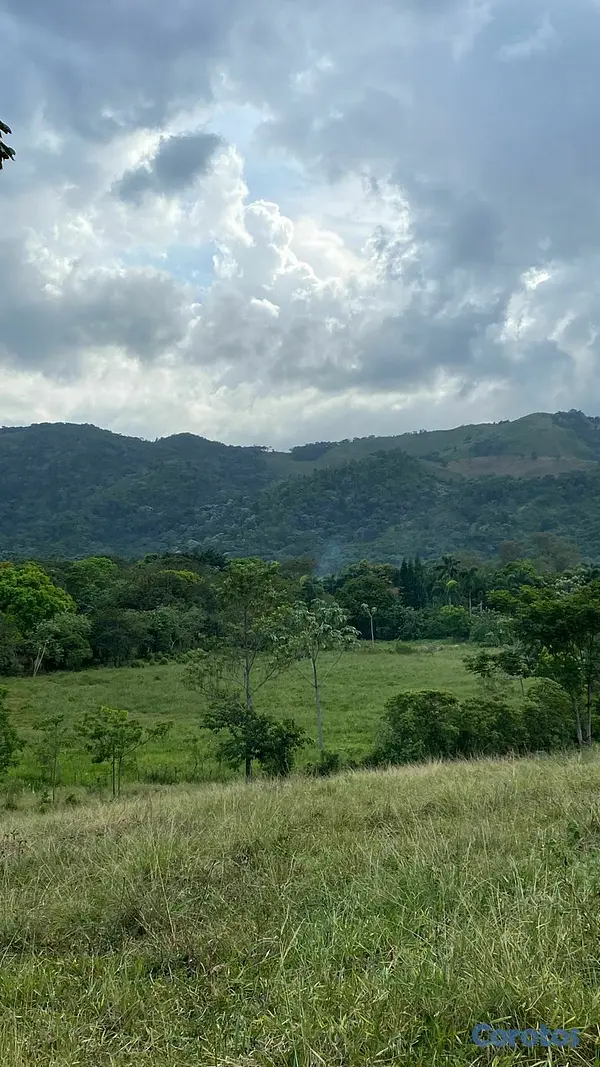 solares y terrenos - Solar bonao 7