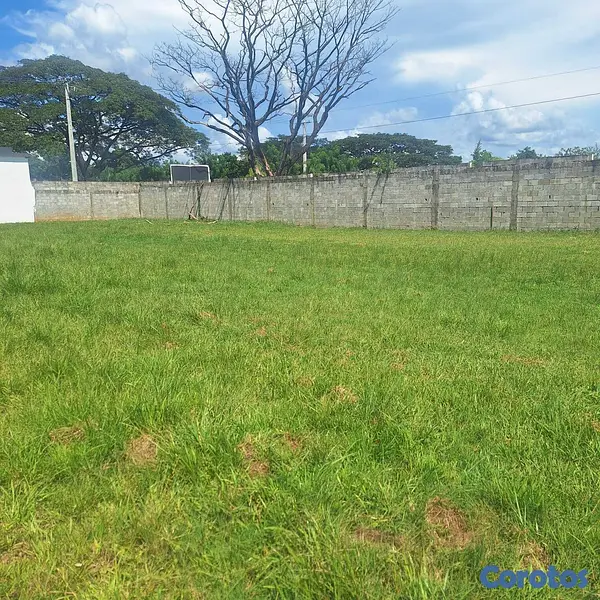 solares y terrenos - Solar en venta en Bonao  6