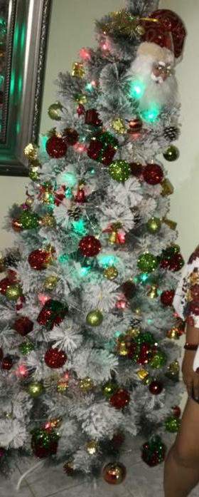 decoración y accesorios - Arbol de Navidad