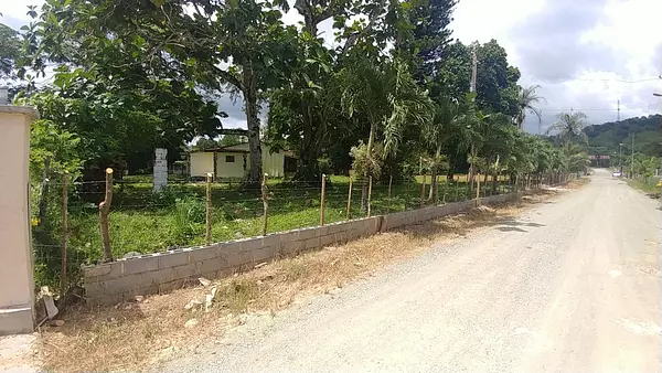 solares y terrenos - VENTA 5 SOLARES PARA USO RESIDENCIAL – PIEDRA BLANCA BONAO 7