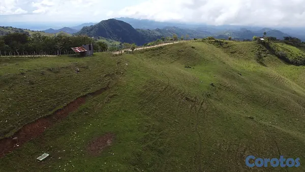 servicios profesionales - Servicio de Drone 6
