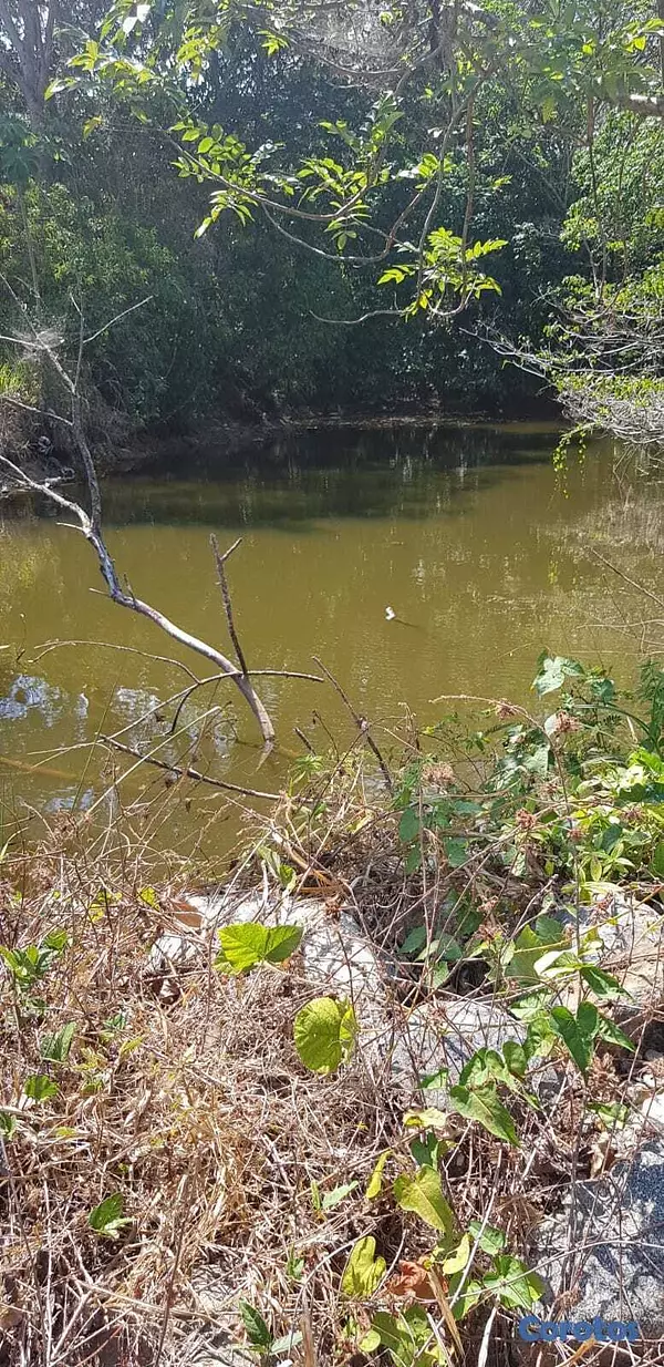 solares y terrenos - Finca con Oro en San Cristobal Documentos en orden 2