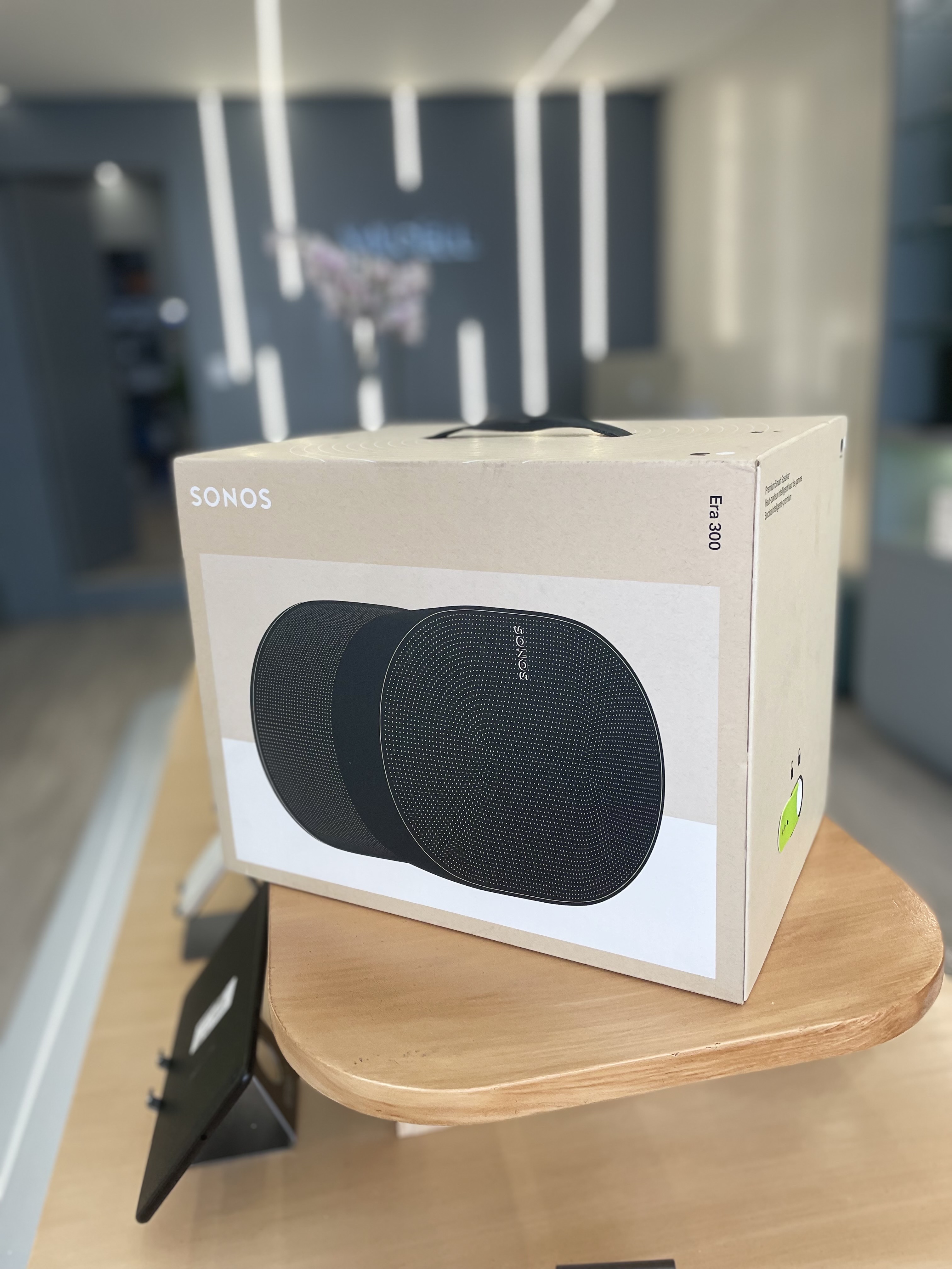 camaras y audio - BOCINA SONOS ERA 300 NEGRO 2
