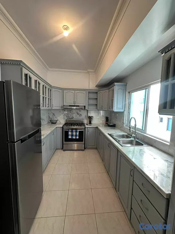apartamentos - Apartamento Totalmente Amueblado en Alquiler en Pi 8