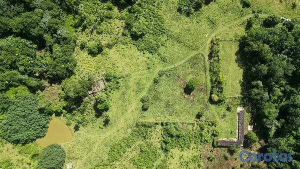 solares y terrenos - Terreno en Venta – Las Terrenas / Las Guázaras 10