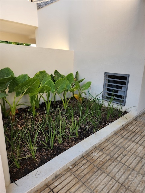 casas - casa autopista de san Isidro brisa oriental Santo Domingo este 6