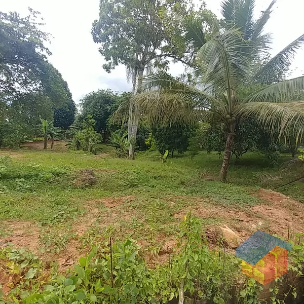 solares y terrenos - Solares Venta en Bonao 6