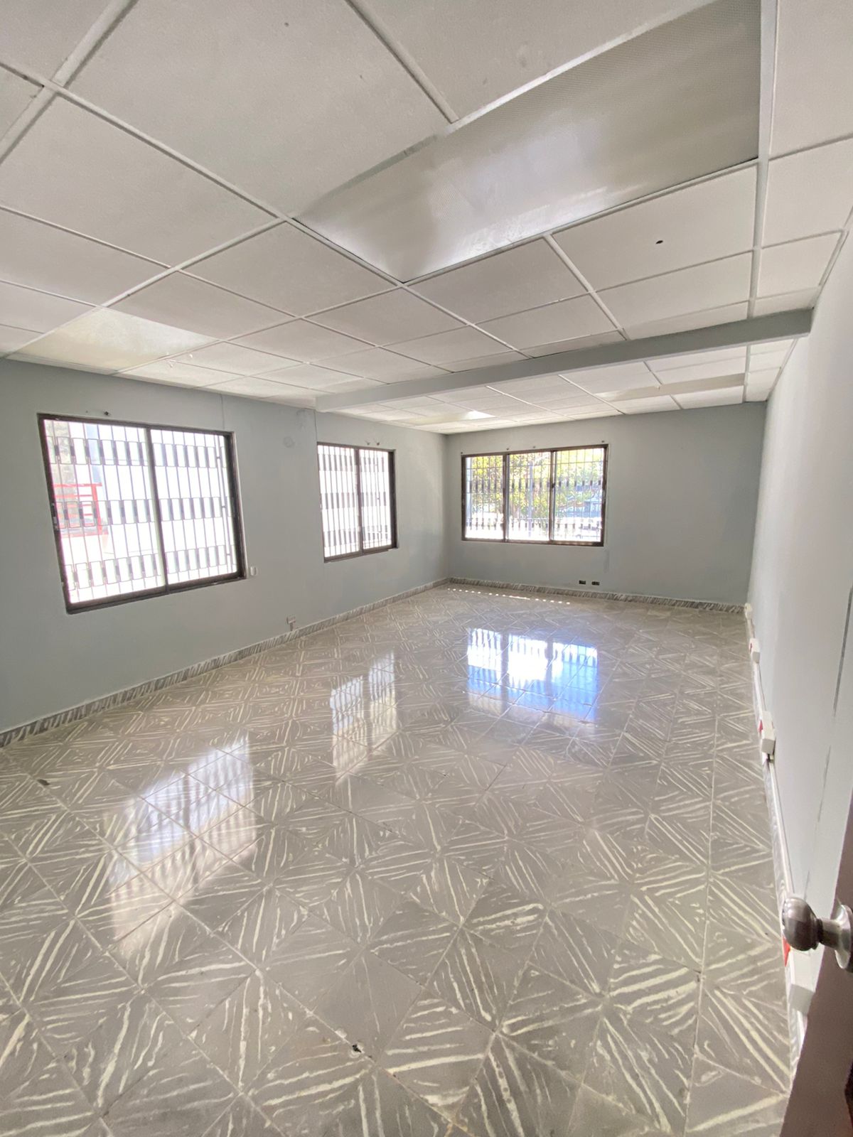 oficinas y locales comerciales - Local corporativo 1500 metros 5