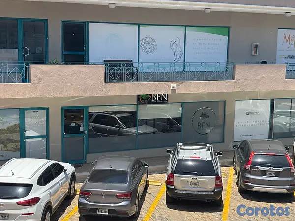 oficinas y locales comerciales - alquiler local Plaza Diamond  2