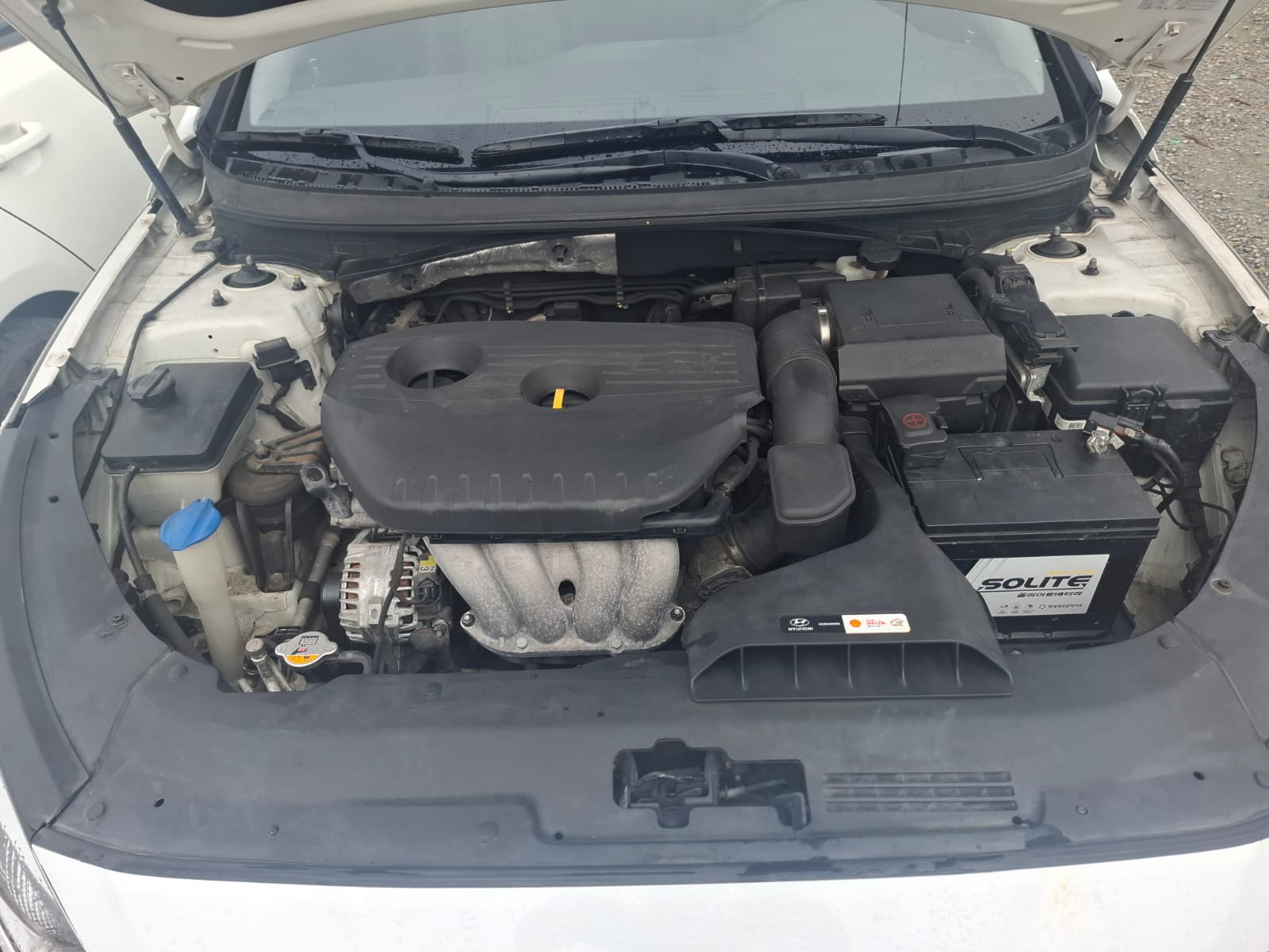 carros - HYUNDAI SONATA NEW RISE 2019 2