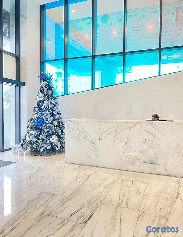 oficinas y locales comerciales - Local en Piantini  9