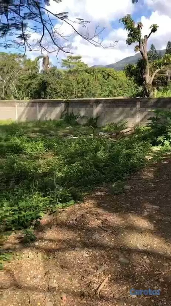 solares y terrenos - Terreno Disponible para Venta en Villa Gonzalez  1