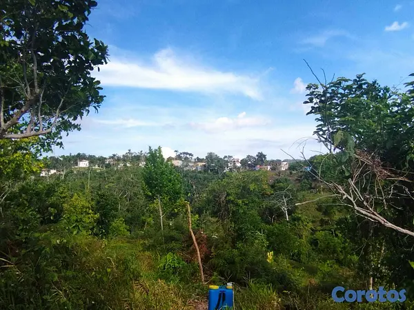 solares y terrenos - SOLAR EN VENTA EN LAS TERRENAS, SECTOR LOS PUENTES, CON VISTA AL MAR 5