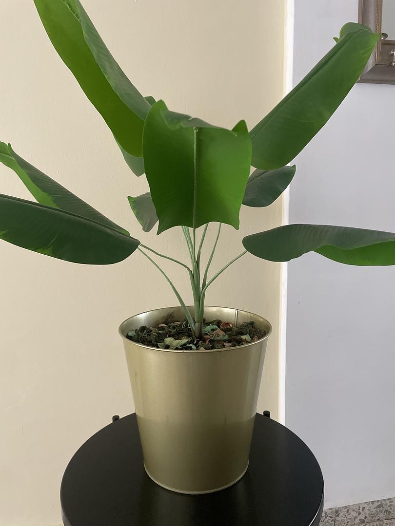 decoración y accesorios - planta artificial de IKEA 