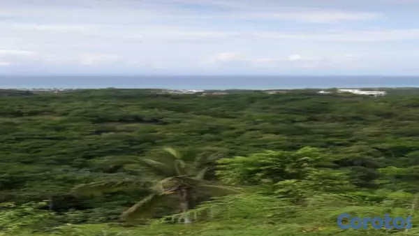 solares y terrenos - Terrenos en Las Terrenas 4