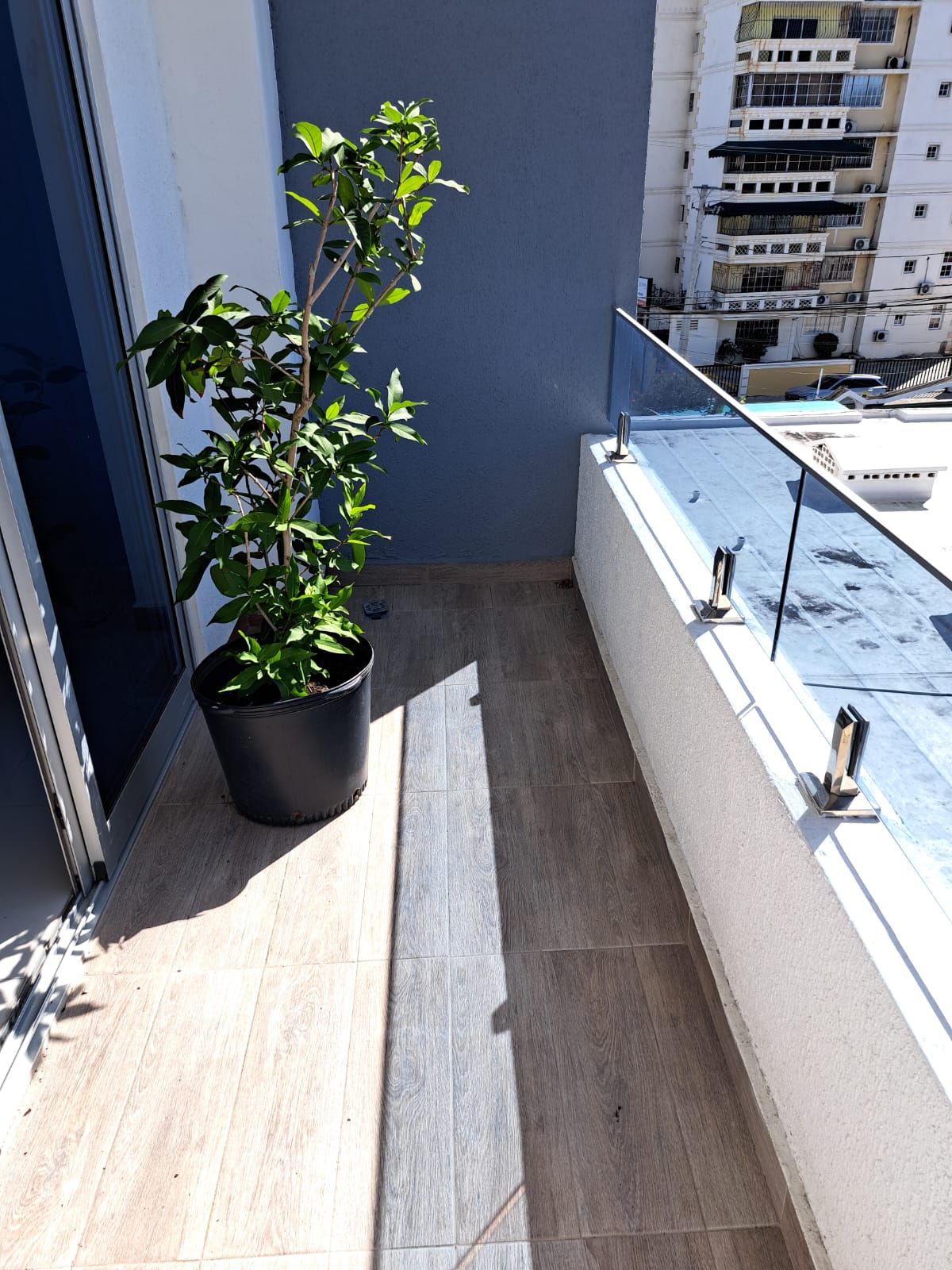 apartamentos - apartamento en zona universitaria en venta  3