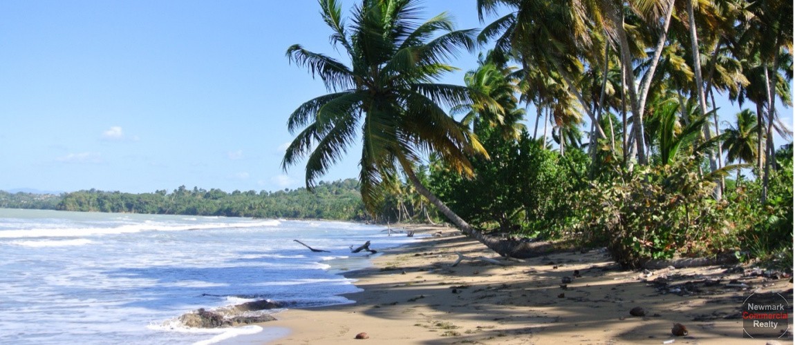 solares y terrenos - MICHES, DOMINICAN REP. Terreno frente a la playa de 625,000 M2 a la venta ID1652