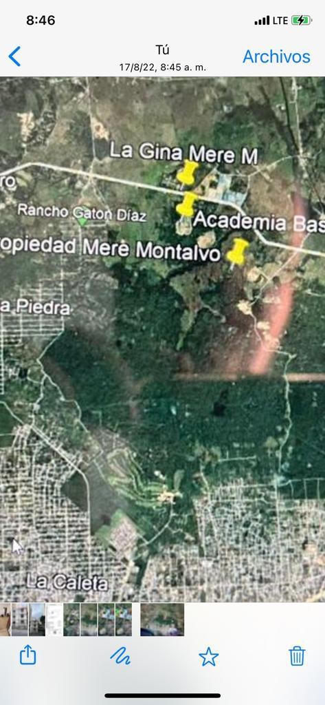 solares y terrenos - Solar de 56,000 metros Carretera Mella  4