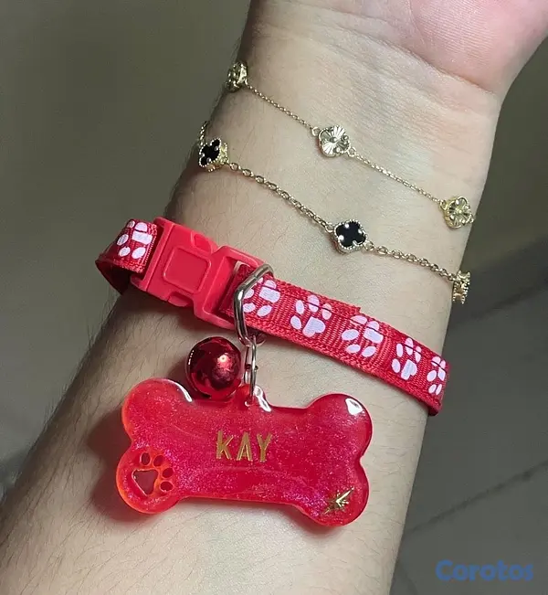 animales y mascotas - Chapillas y collares personalizados para perros y gatos 5