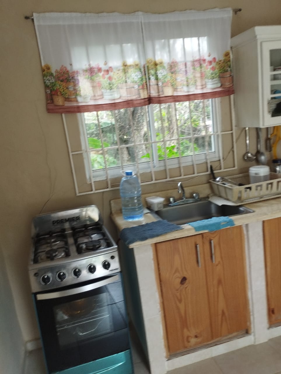 casas vacacionales y villas - Finquita Privada en el sector Carril - Haina 4