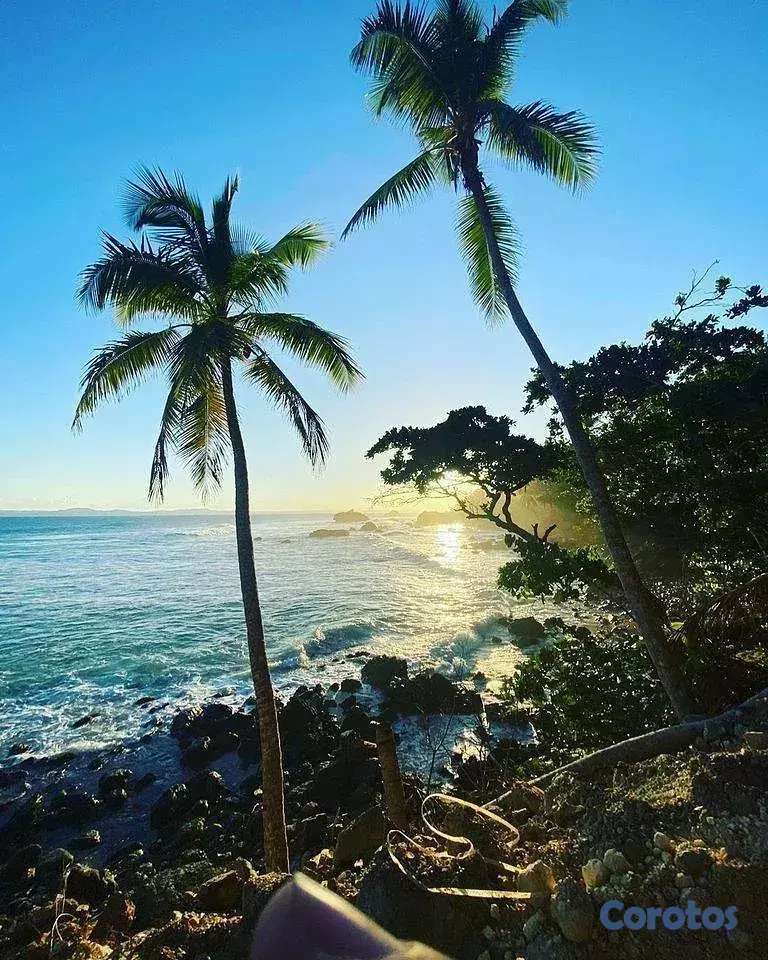 solares y terrenos - Samaná, Punta Balandra - Terreno primera línea de mar dentro residencial premium 3