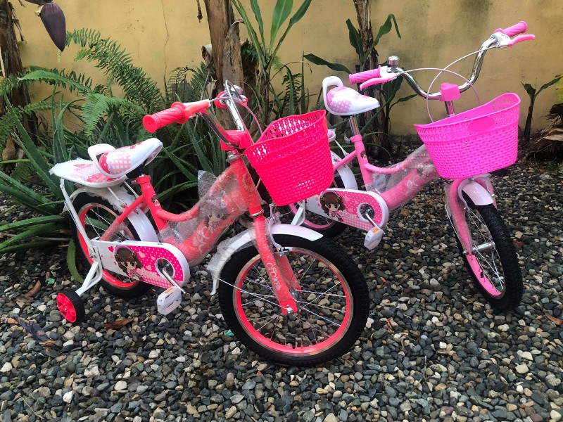 juguetes - Bicicletas Aro 16 Taza Ancha Para Niñas 3