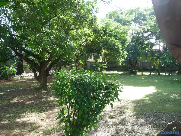 solares y terrenos - Solar venta La Esperilla 4