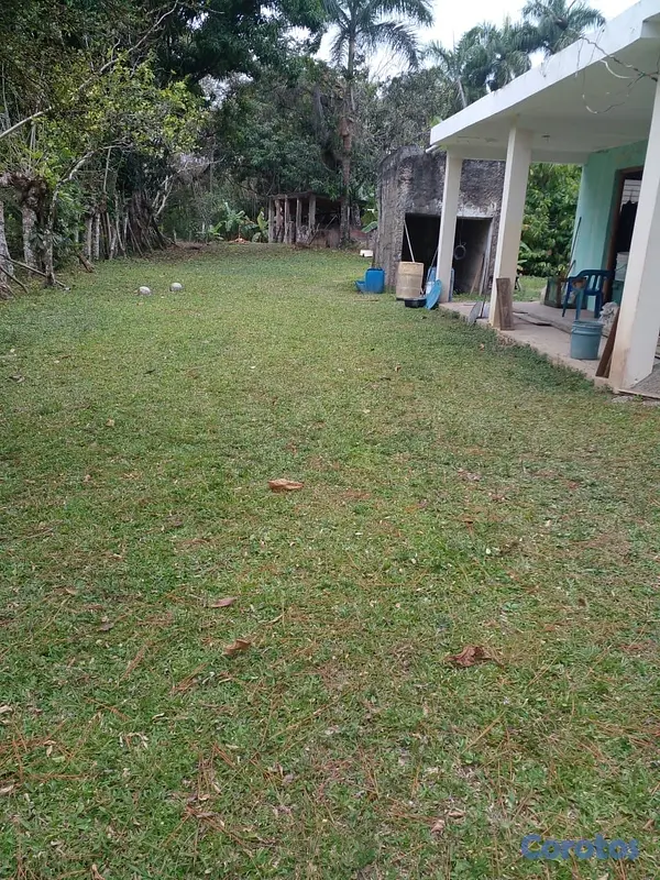solares y terrenos - finca de 125 tareas  en bayaguana  8
