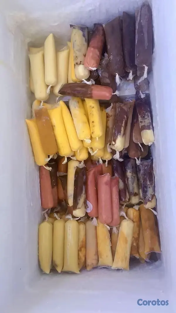 cocina - helados naturales CyR el verdadero sabor  9