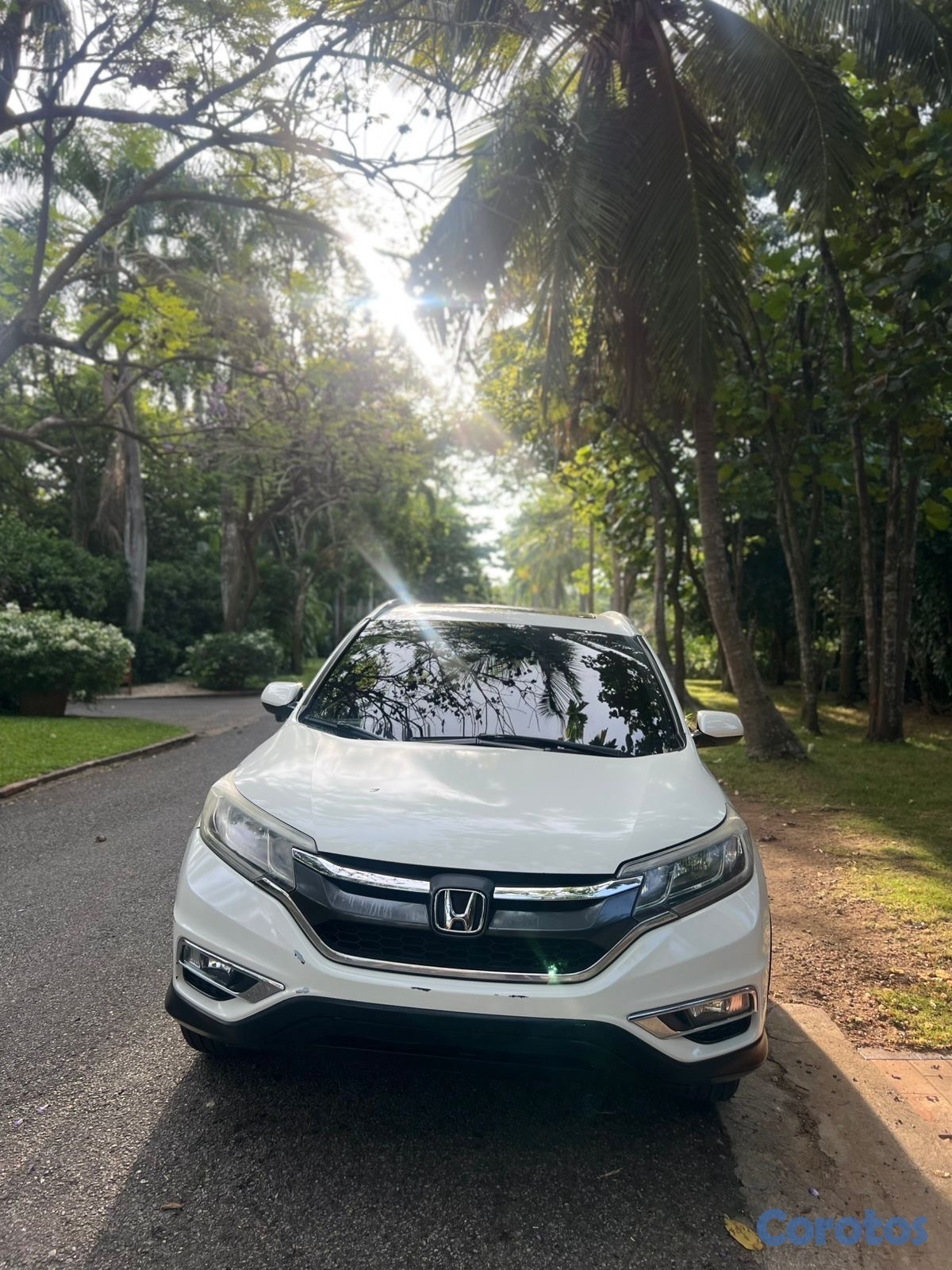 jeepetas y camionetas - Honda CRV EXL 2016 3