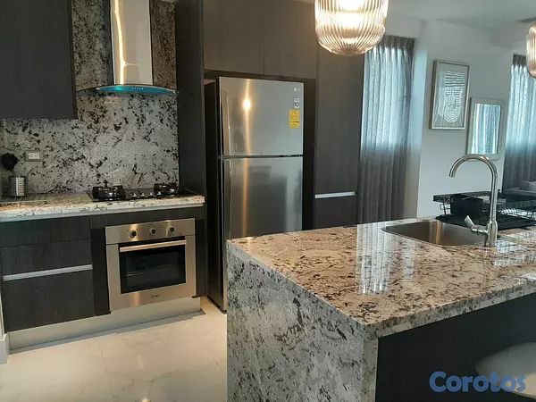 apartamentos - Apartamento en Alquiler en Piantini Amueblado de U 4